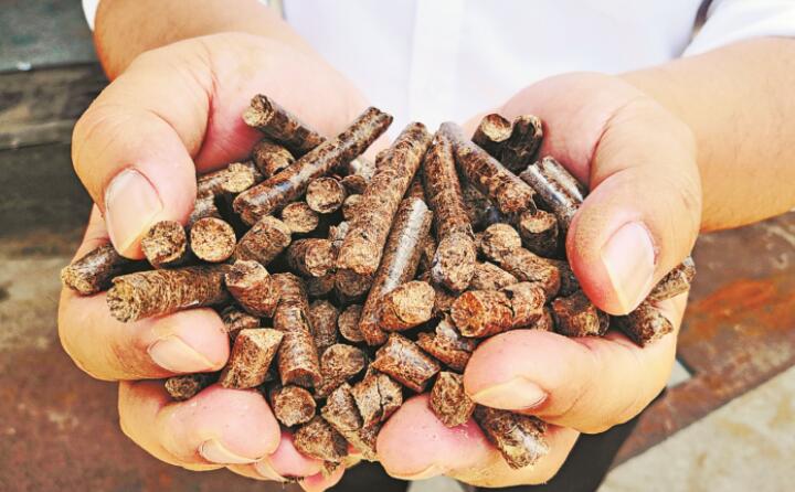 生物质午夜福利大片生物能源项目