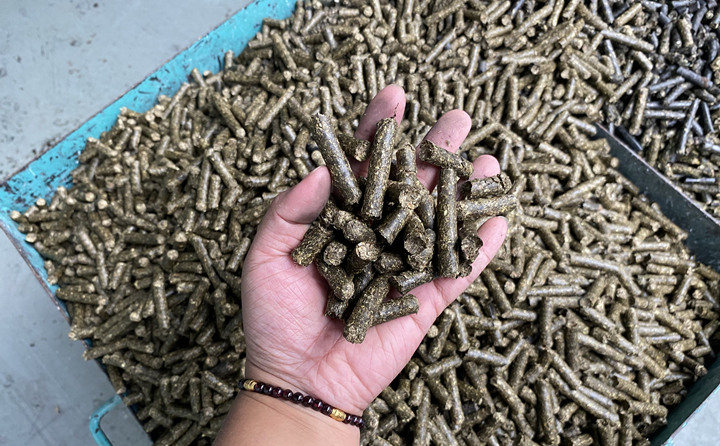 生物质午夜福利大片加工的燃料