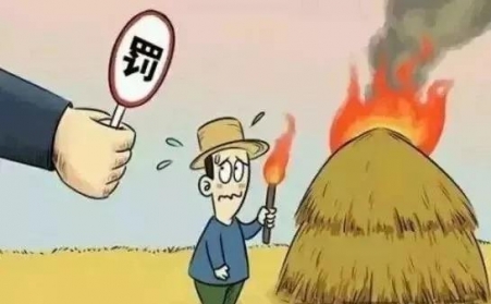 秸秆禁烧怎么办？秸秆午夜福利大片帮您变废为宝！
