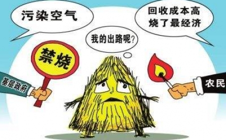 黑龙江秸秆午夜福利大片把秸秆从包袱变回宝贝！