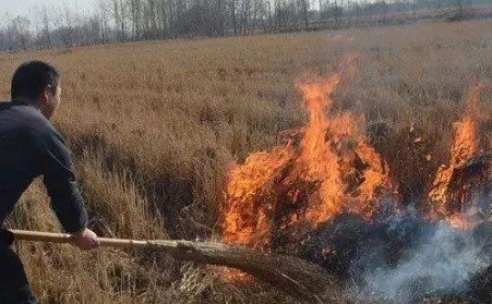生物质午夜福利大片解决了农村大难题！