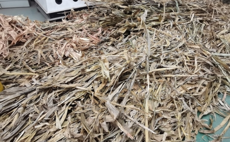 突泉县：废弃秸秆综合利用催生绿色经济