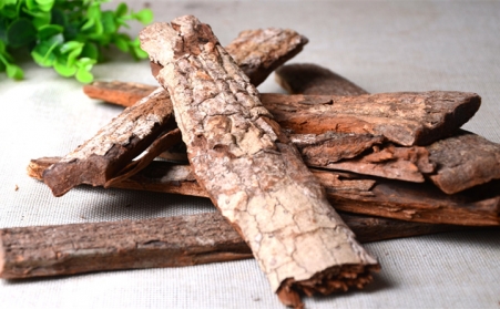 深入！为什么欧洲需要依靠可持续的生物能源