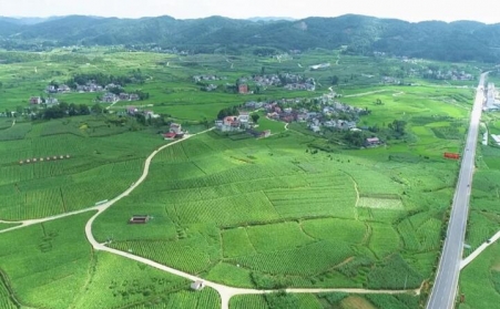 福泉：生物质颗粒智能化烘烤 助力烤烟产业提质增效